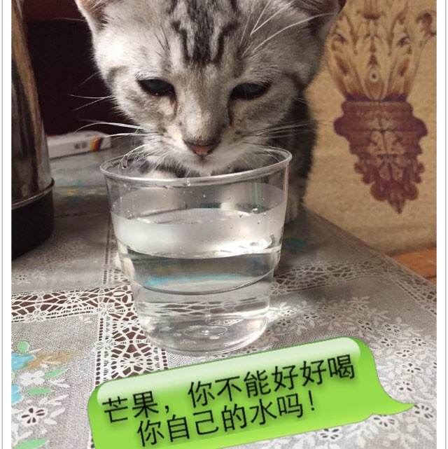 澳大利亚身份证样本资料